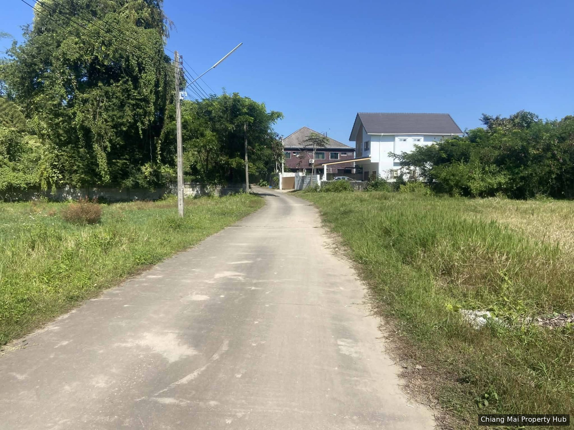 รูปภาพ 2