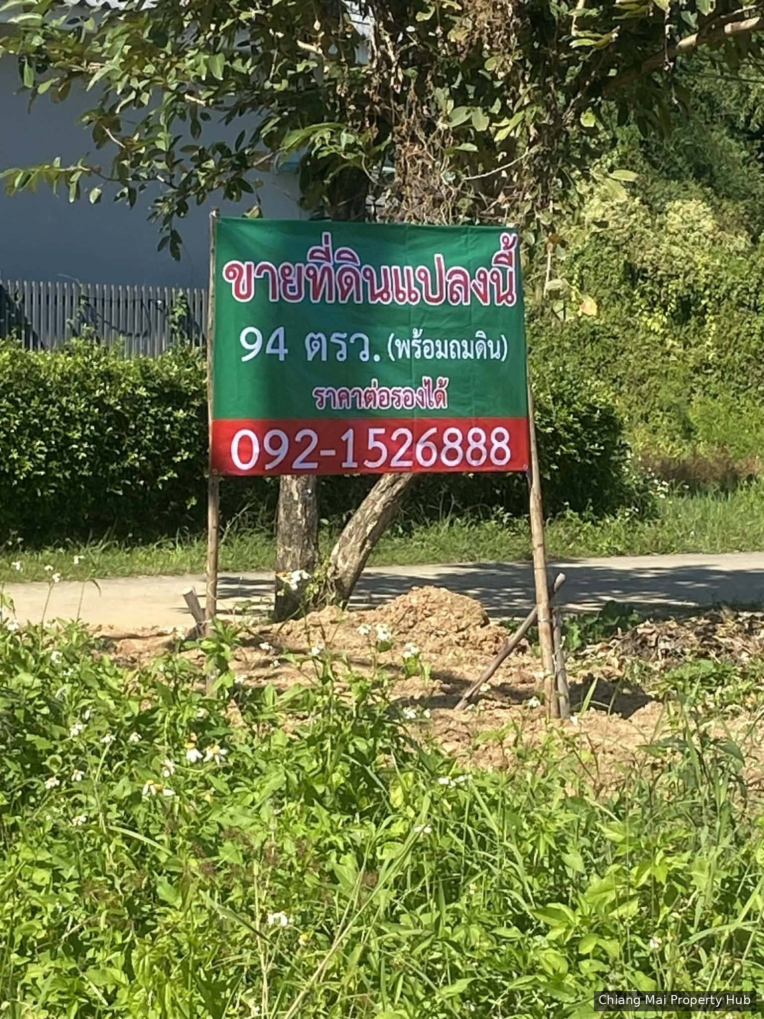 รูปภาพ 5