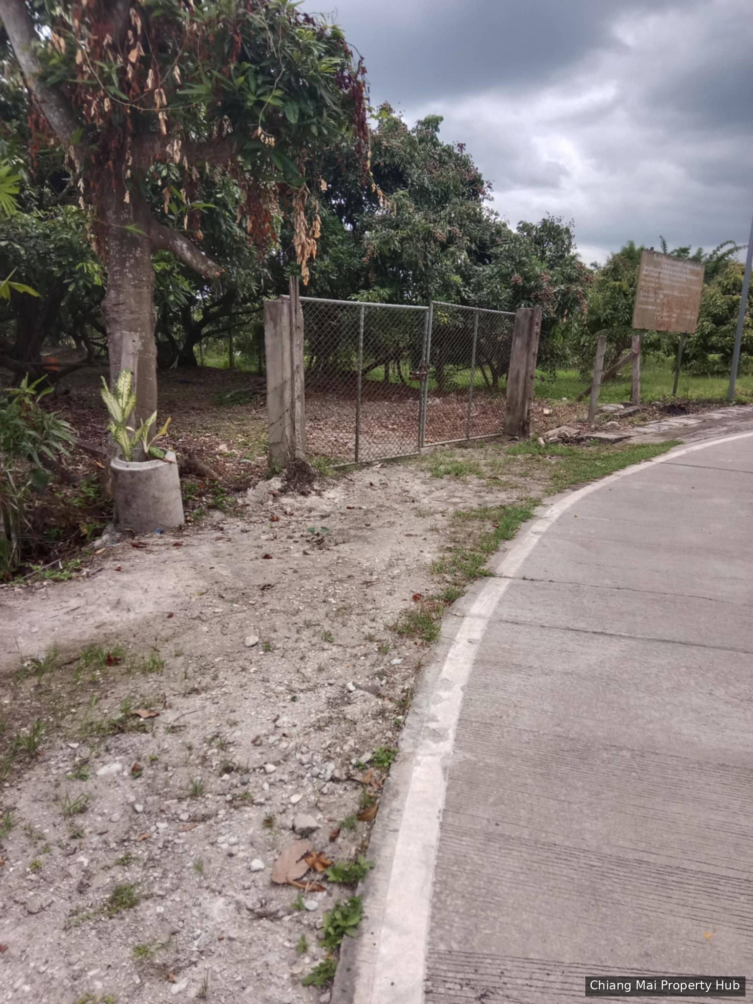 รูปภาพ 4