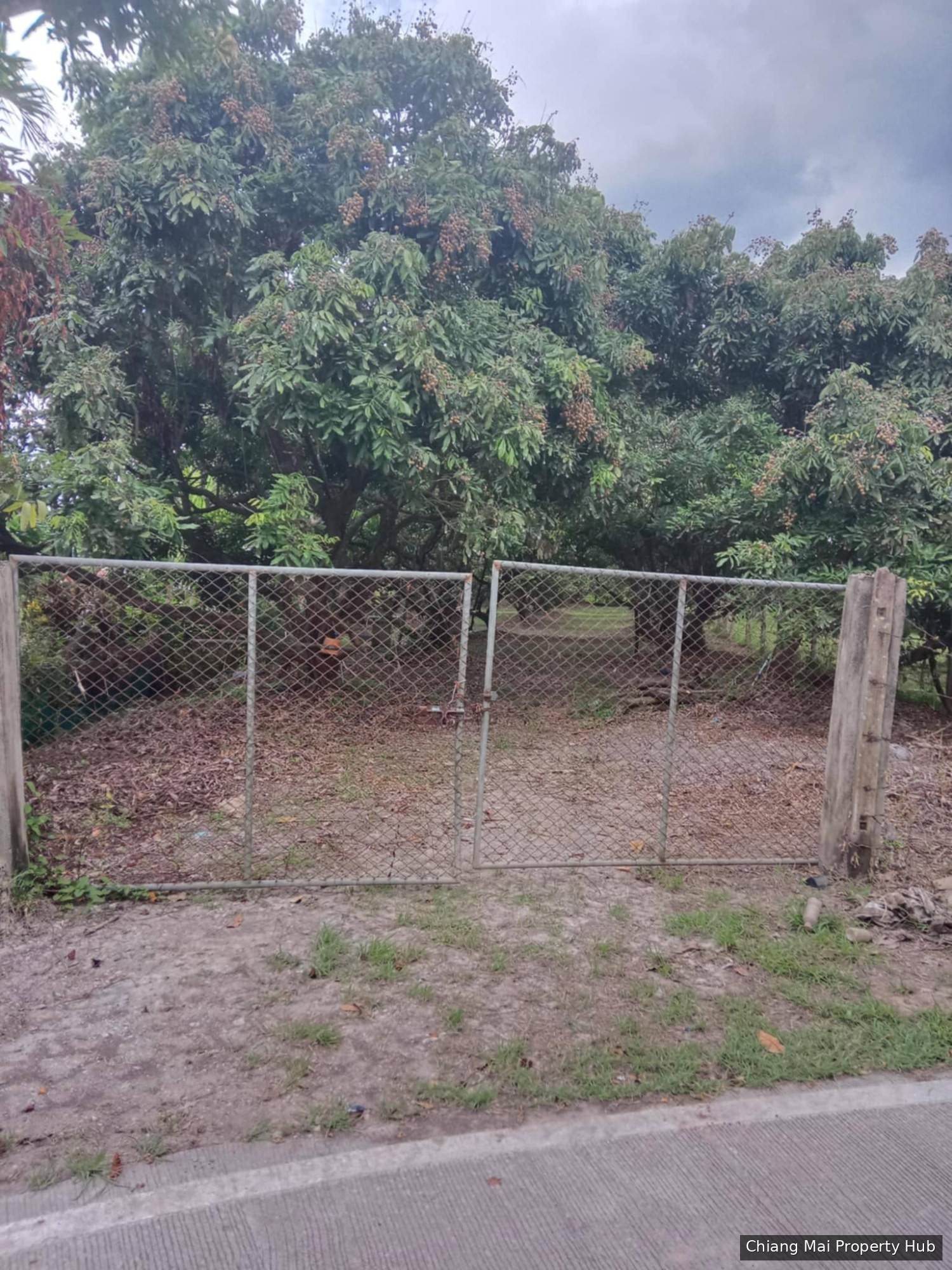 รูปภาพ 5