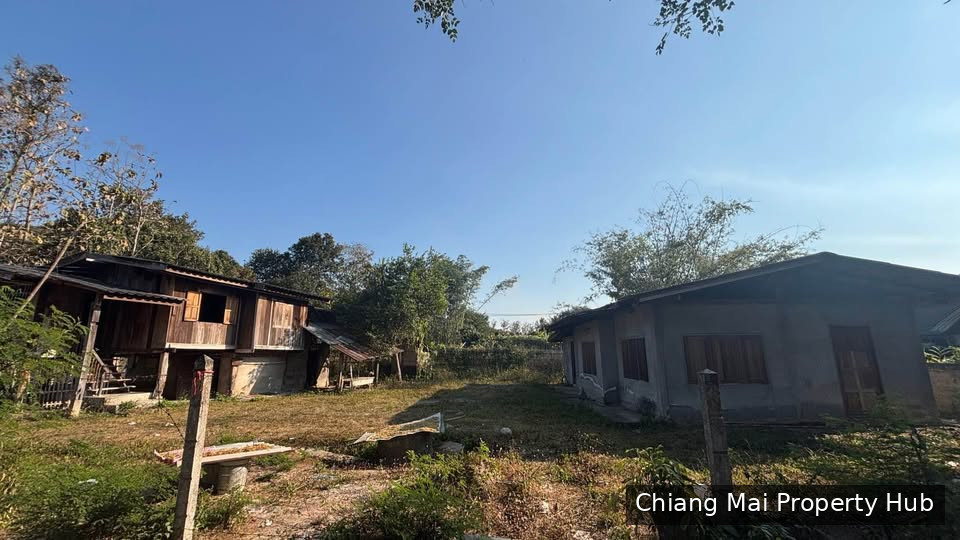 รูปภาพ 3