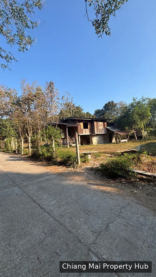 รูปภาพ 2