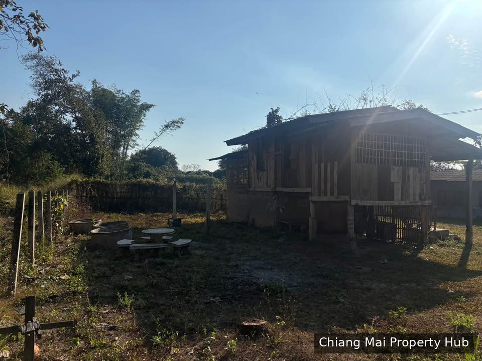 รูปภาพ 5