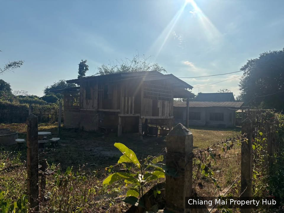 รูปภาพ 4