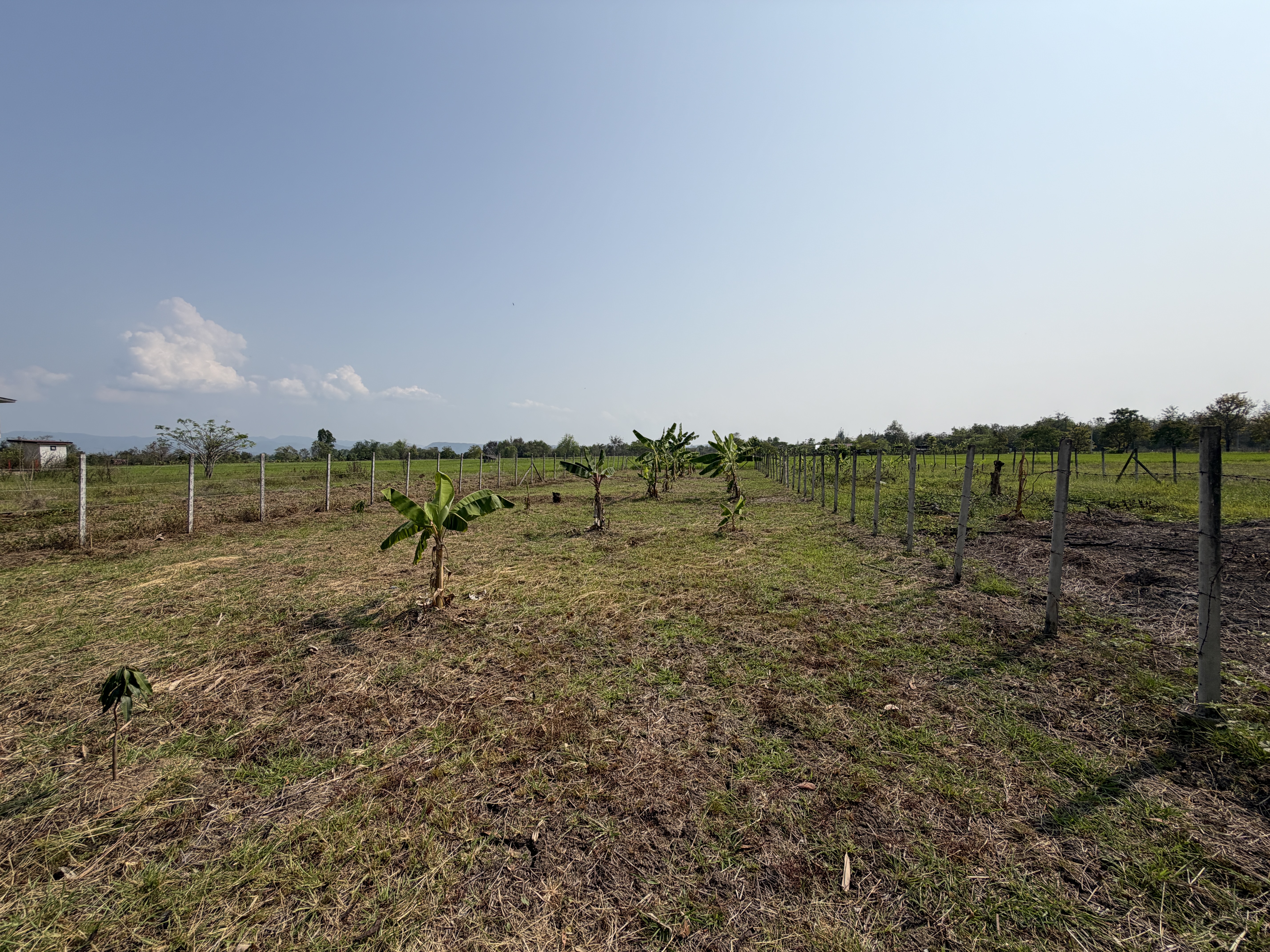 รูปภาพ 4