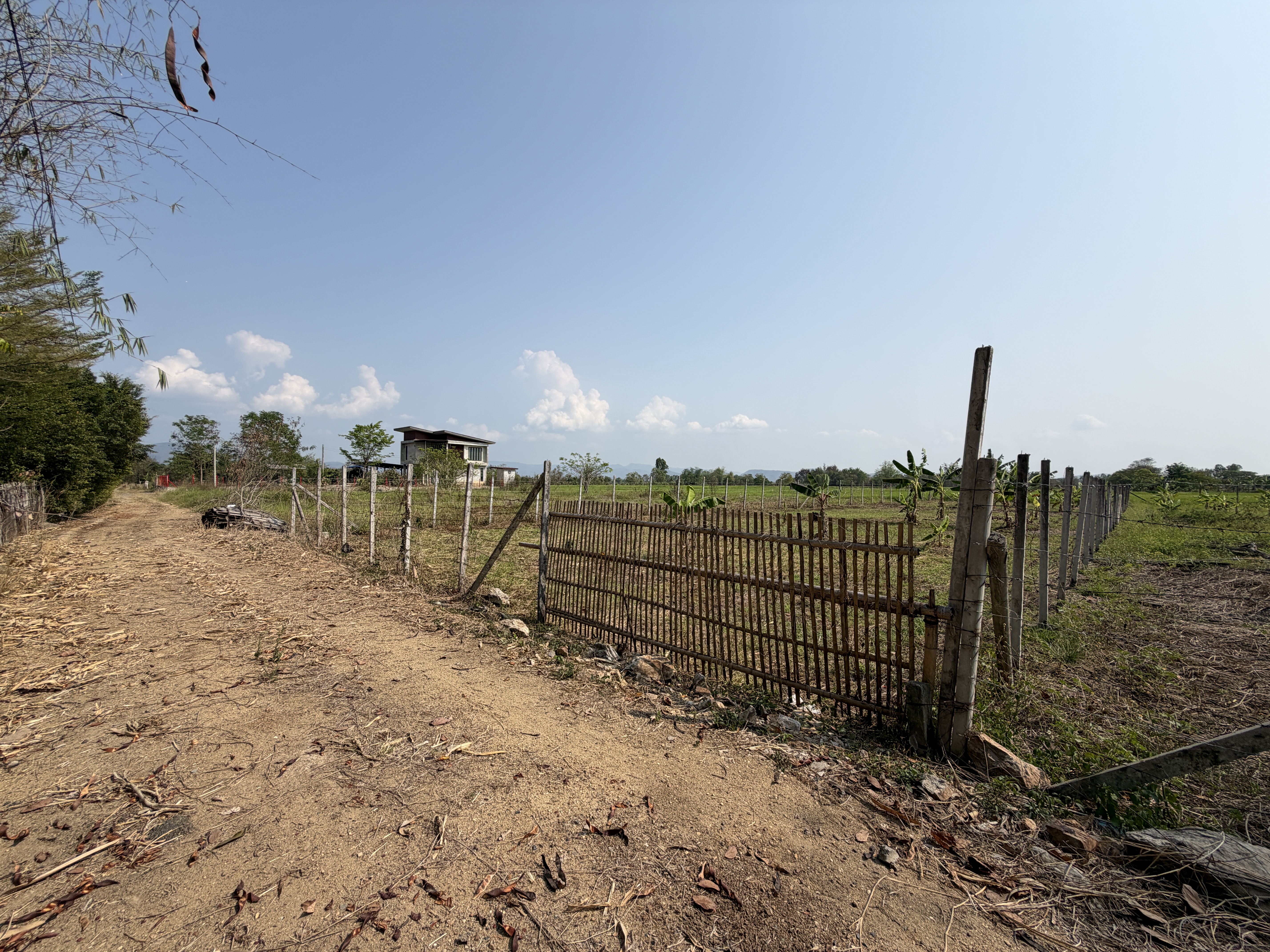 ขายที่ดิน252 วิวทุ่งนา เหมาะสำหรับสร้างบ้านพักอาศัย หรือซื้อเก็บไว้เพื่อการลงทุน