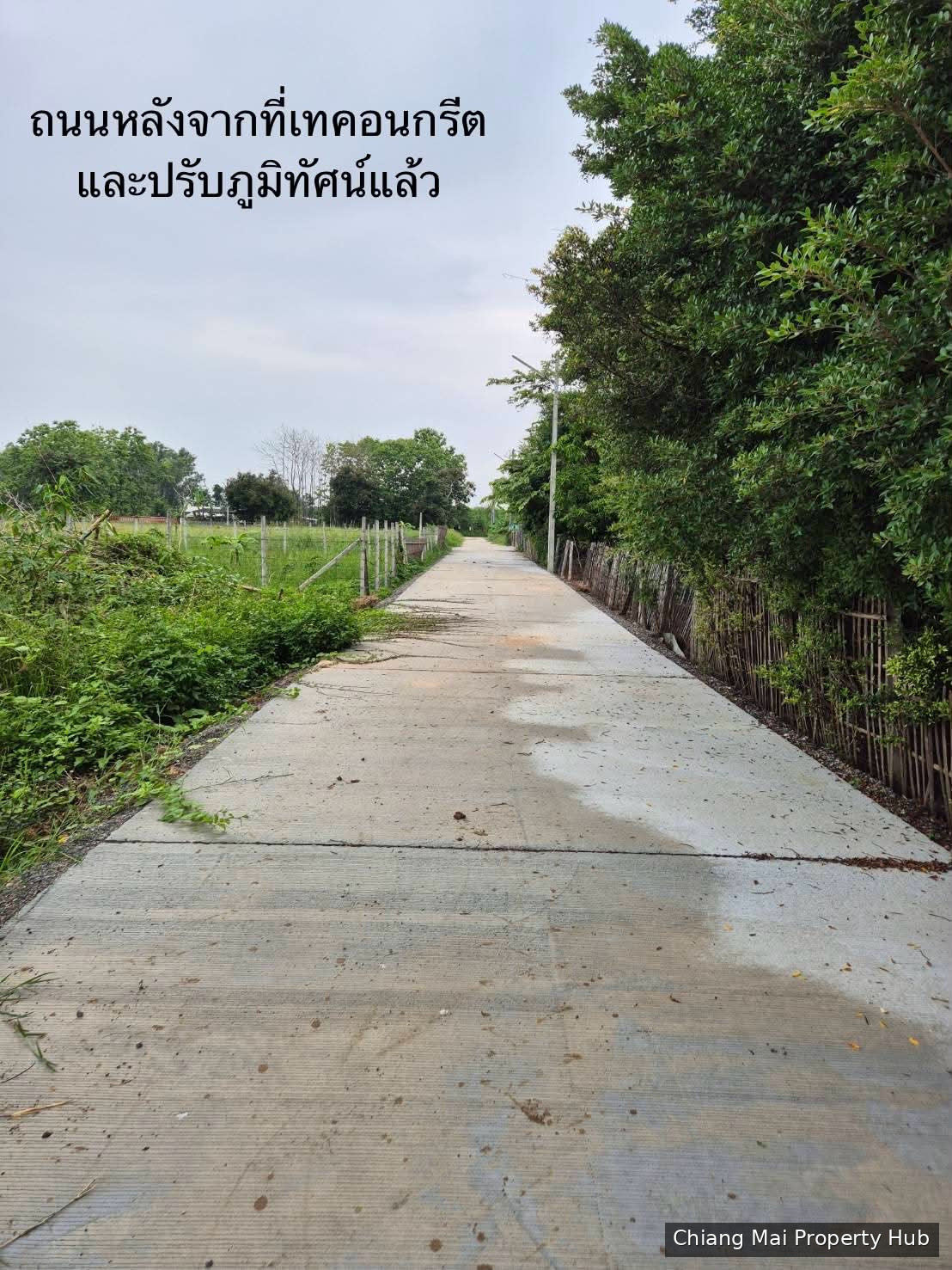 ขายที่ดินเปล่า252 ตร.วา 1.5 ล้าน วิวทุ่งนา ใกล้วัดร้องก่องข้าว ใกล้เทศบาลบวกค้าง
