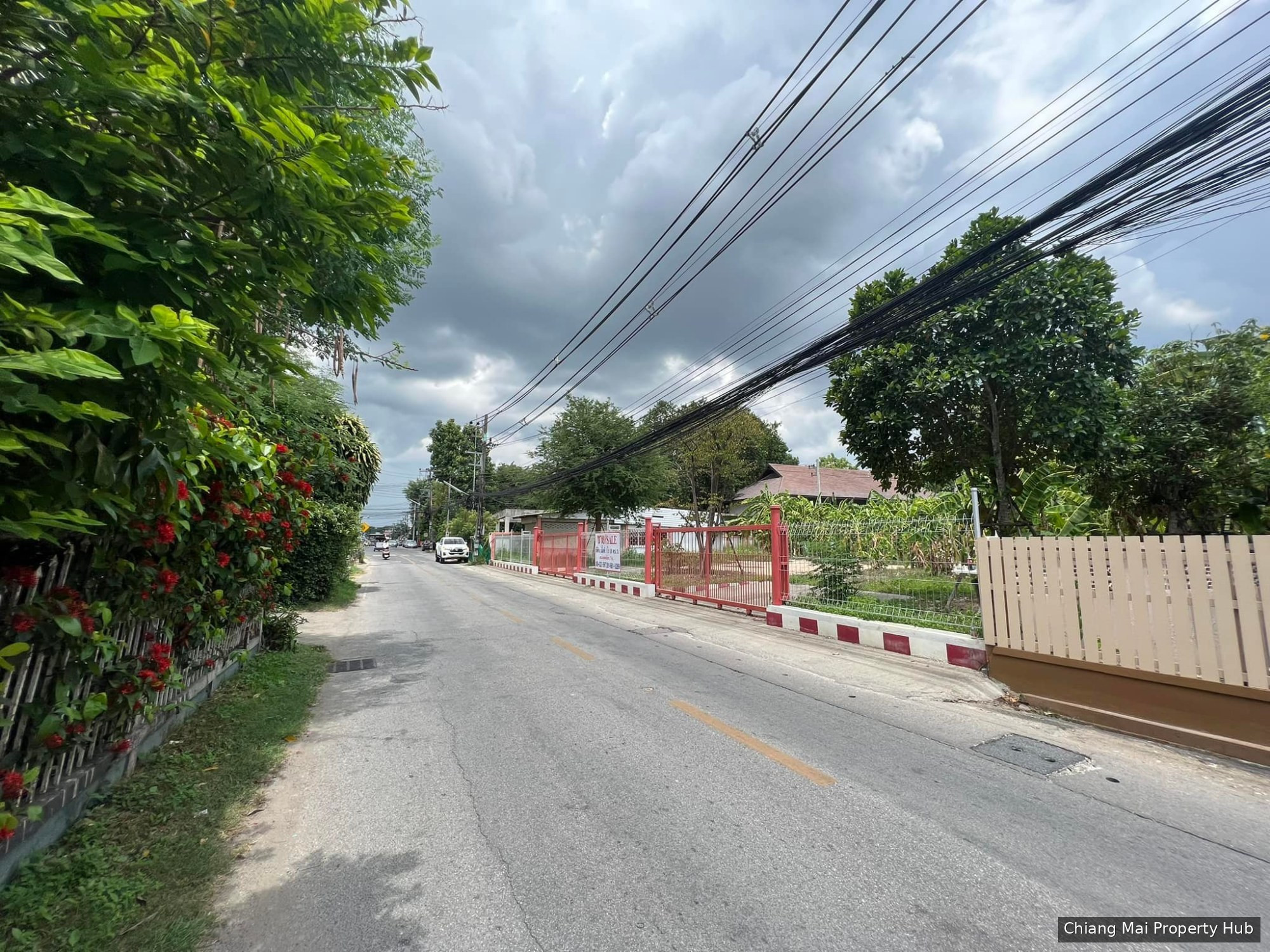 รูปภาพ 3