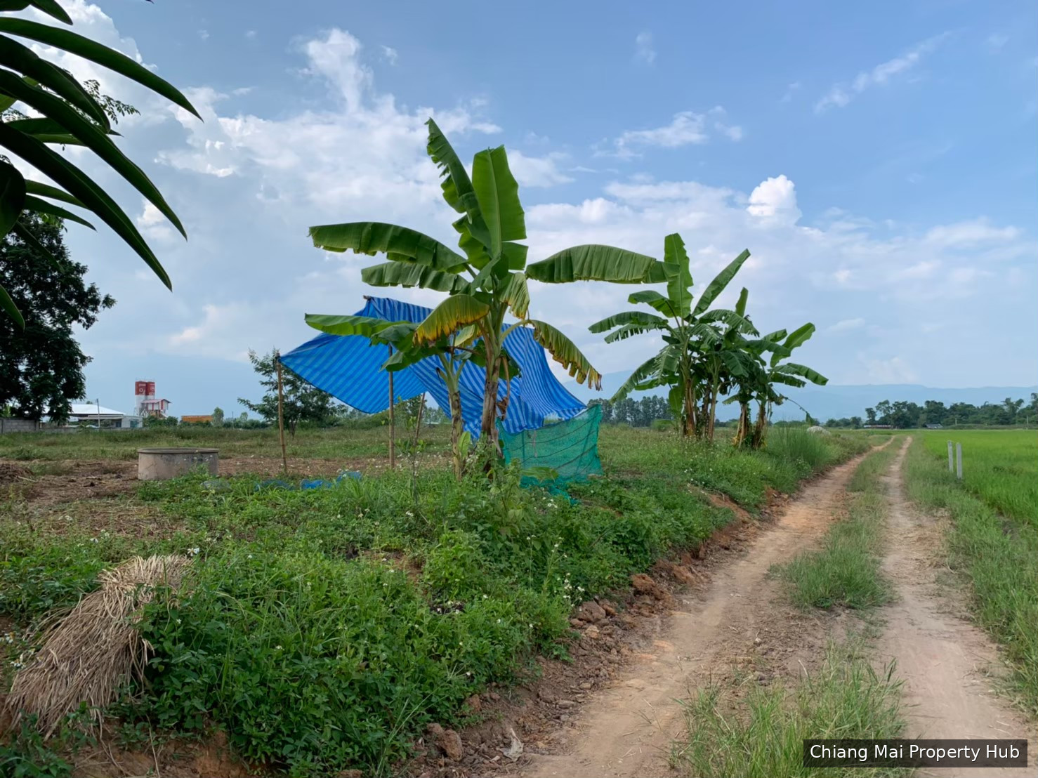 ขายที่ดินถมแล้ว ต.สันต้นหมื้อ อ.แม่อาย 280วา 5แสน ต่อรองได้