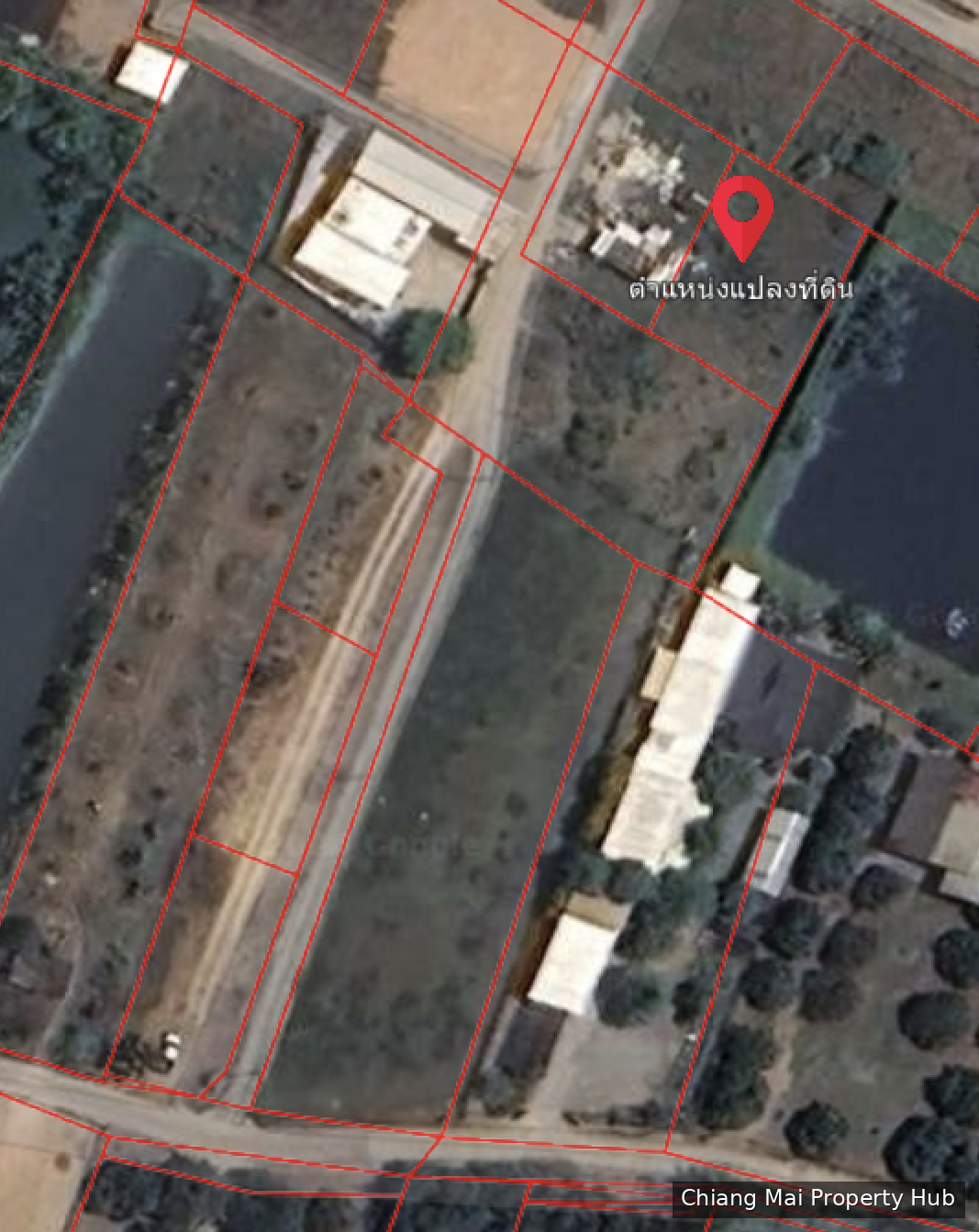 รูปภาพ 4