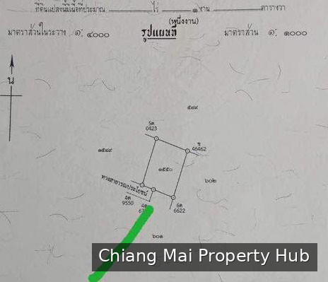 รูปภาพ 3