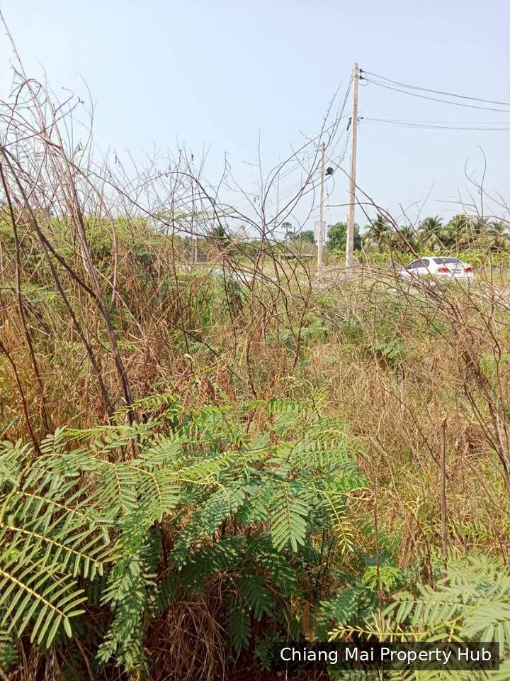 รูปภาพ 2