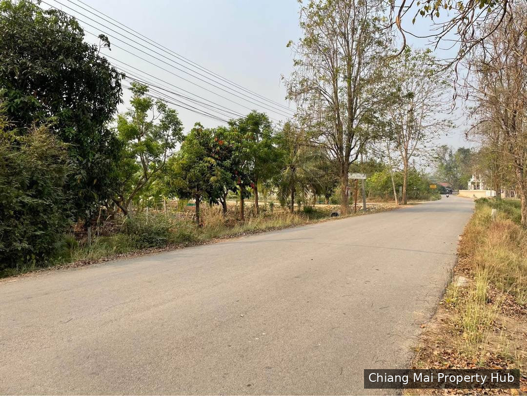 รูปภาพ 3