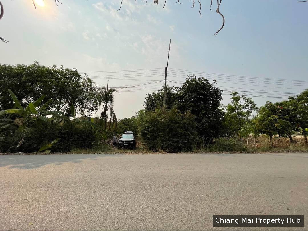 ขายที่ดิน พร้อมสวนผลไม้ผสม บวกค้าง สันกำแพง ติดทางสาธารณะ 200 วา 1.4ล้าน 