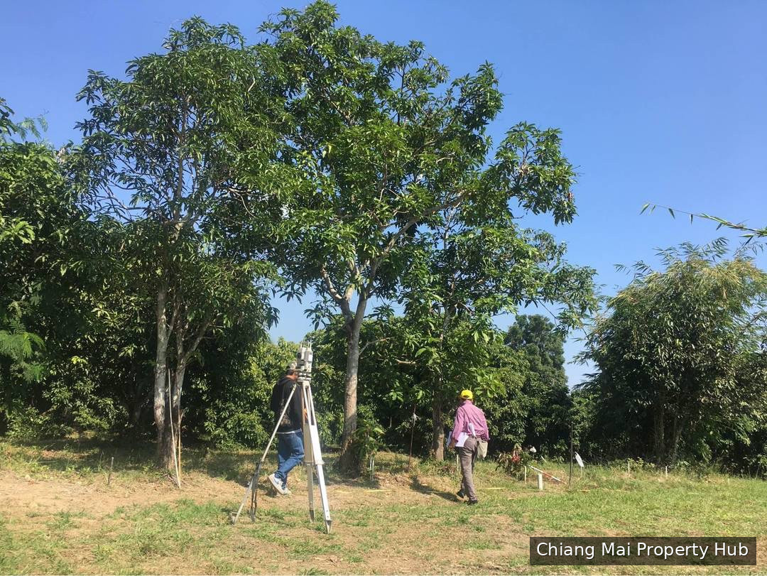 รูปภาพ 2