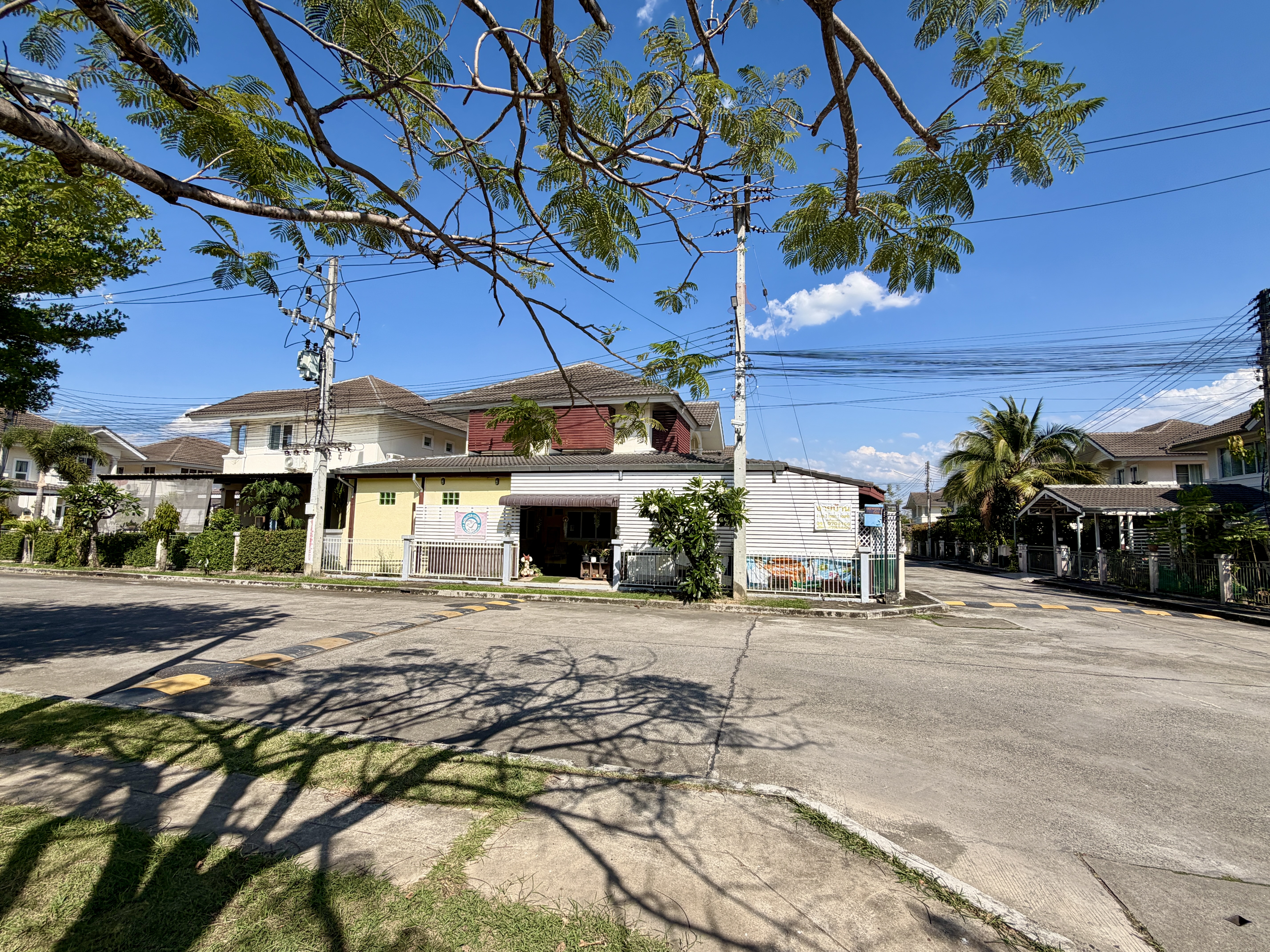 รูปภาพ 2