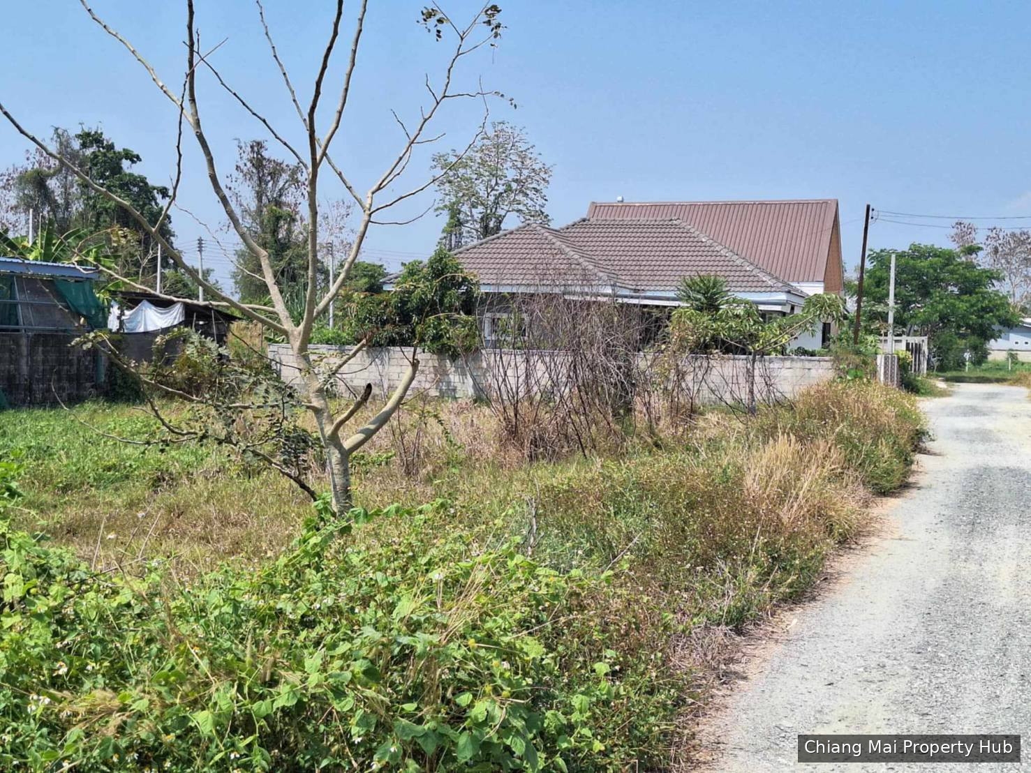 รูปภาพ 3