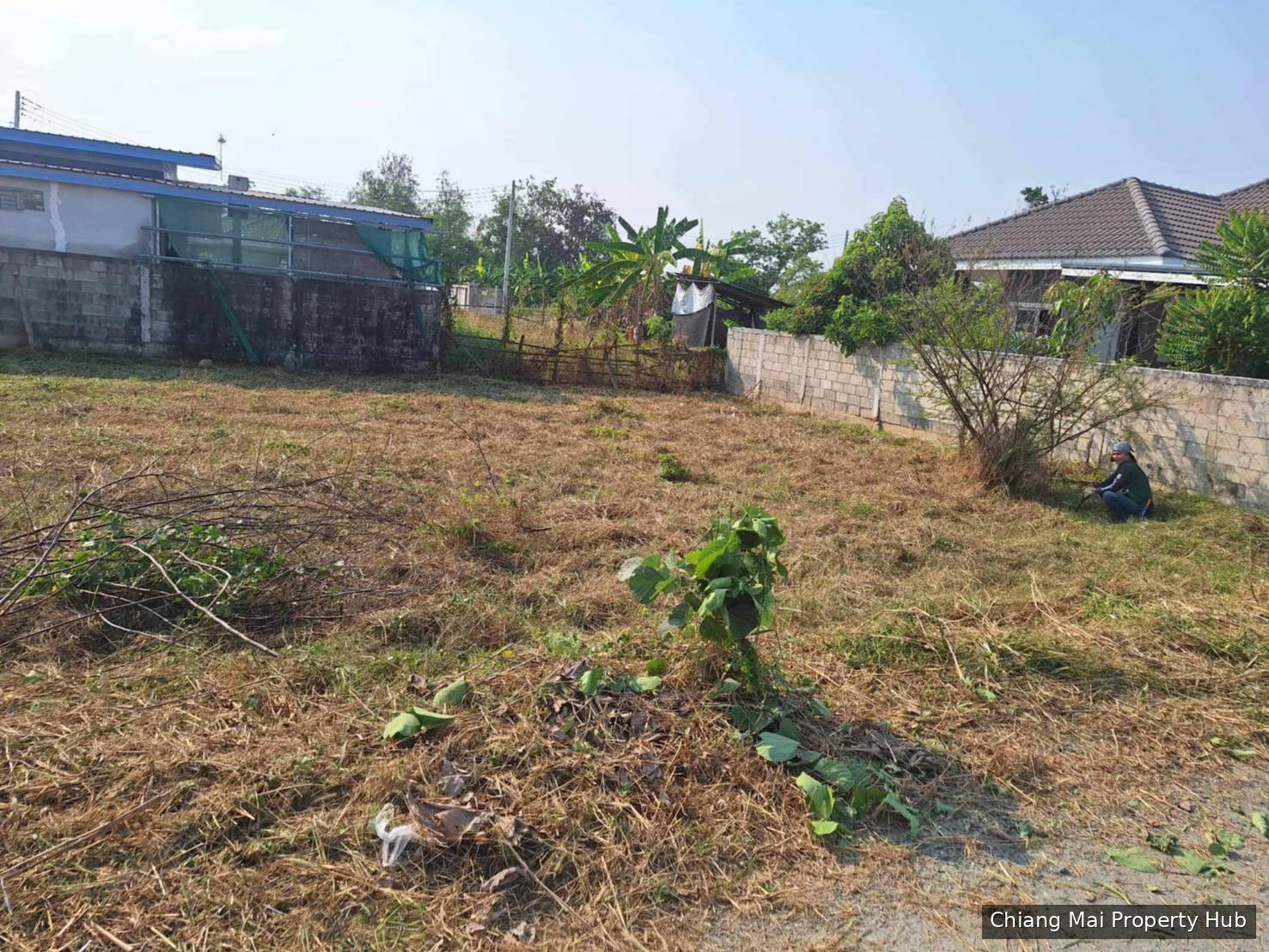 ต้องการขายด่วน 100 ตารางวา ห่างจากตลาดท่ารั้ว3 กิโลเมตร