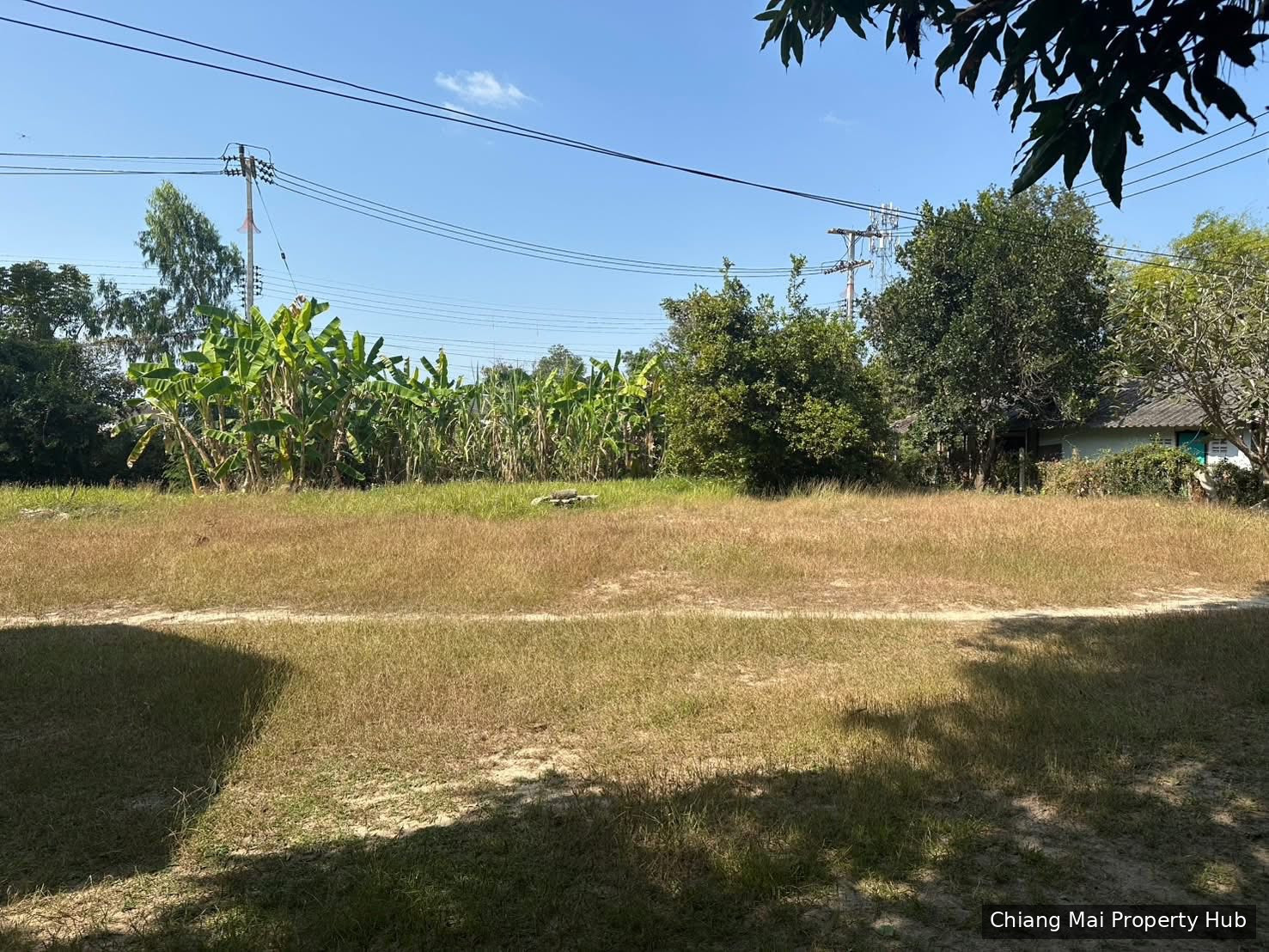 รูปภาพ 2