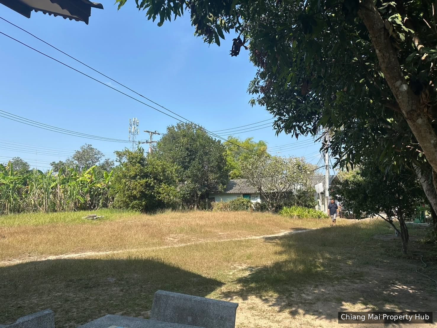 รูปภาพ 3