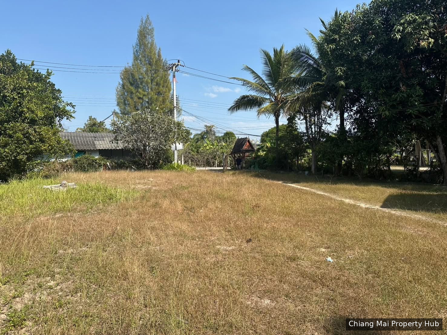 รูปภาพ 5