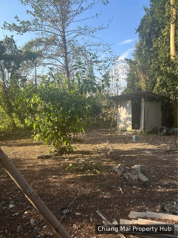 รูปภาพ 3