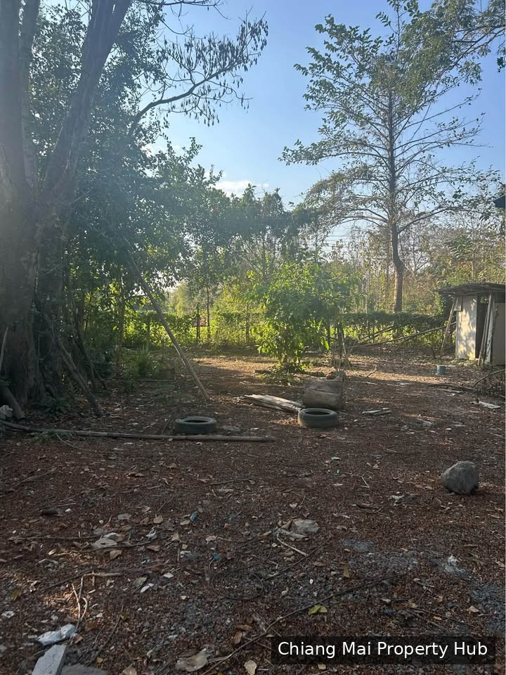 รูปภาพ 2