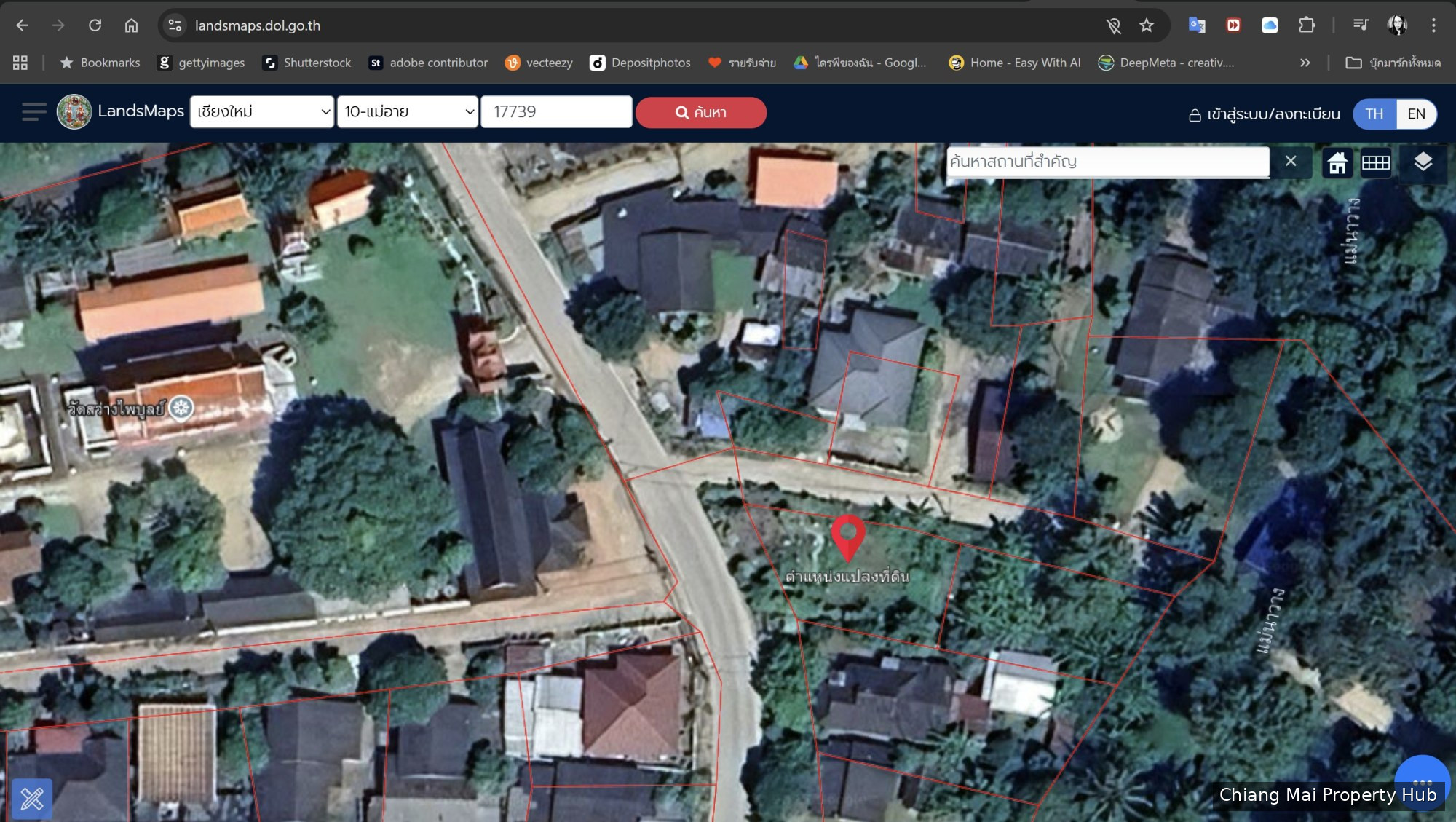 รูปภาพ 3